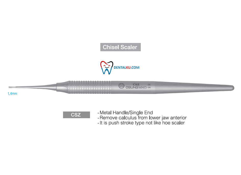 Chisel Scaler Scaler