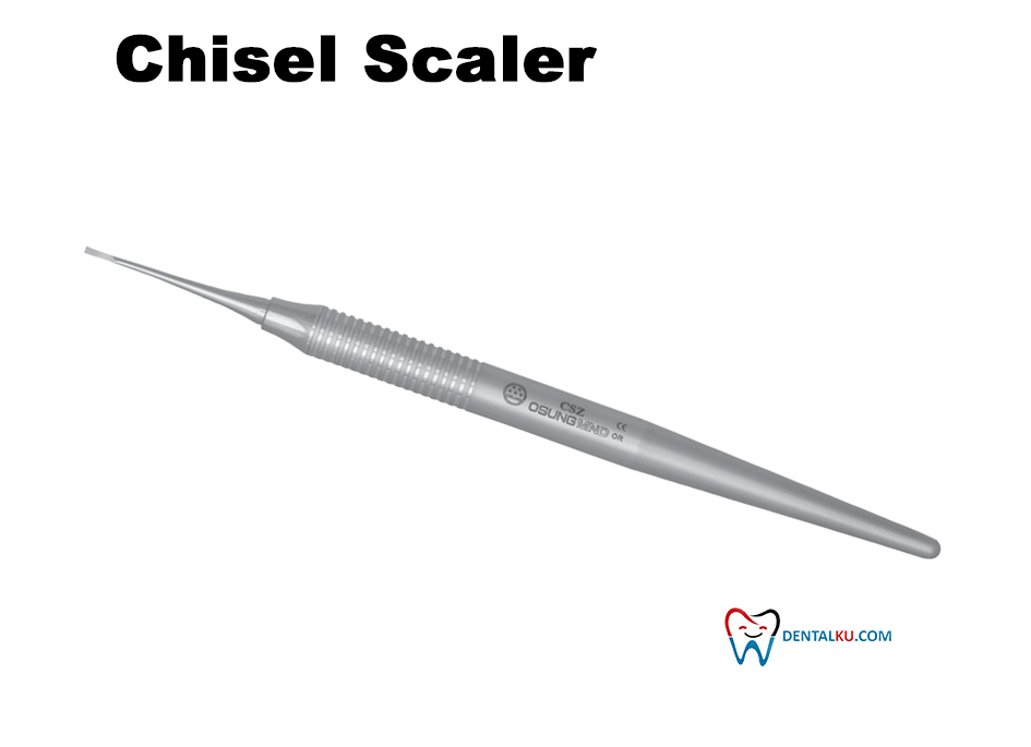 Chisel Scaler Scaler
