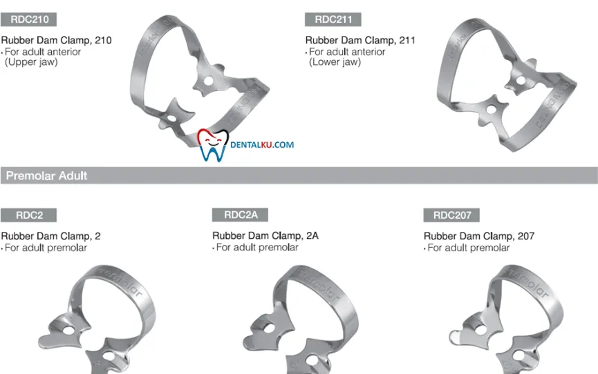 Rubber Dam Instrument  Rubber Dam Clamp 4 clamp_rdc_adult