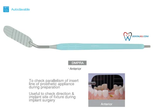 Mirror Para Mirror 2 dmpra_isinya