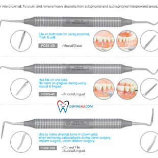 Scaler Periodontal File Scaler 2 isinya_perio_file_scaler