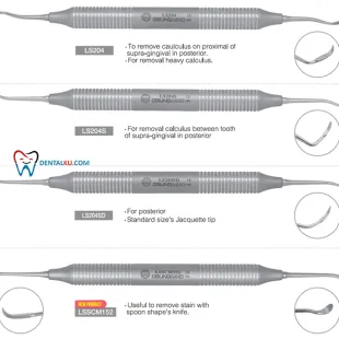 Scaler Sickle Scaler 2 isinya_scaler_biasa