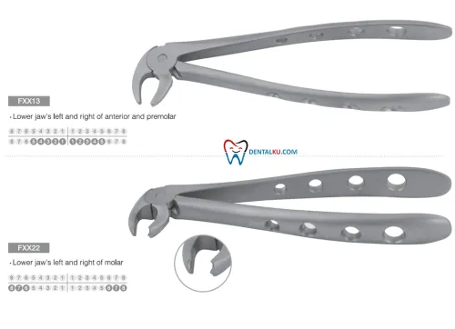 Extraction Forceps Extraction Forceps (Adult) 2 tang_isinya_lower_part_1