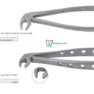 Extraction Forceps Extraction Forceps (Adult) 2 tang_isinya_lower_part_1