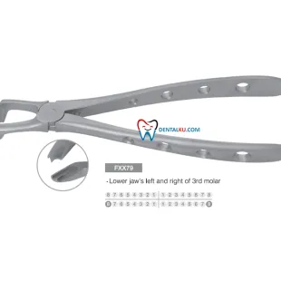 Extraction Forceps Extraction Forceps (Adult) 3 tang_isinya_lower_part_2