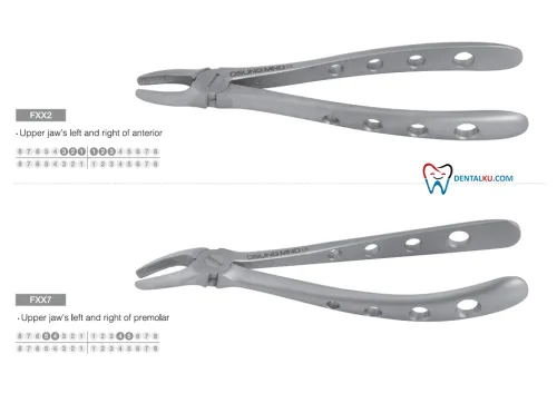 Extraction Forceps Extraction Forceps (Adult) 2 tang_isinya_upper_part_1