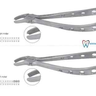 Extraction Forceps Extraction Forceps (Adult) 2 tang_isinya_upper_part_2