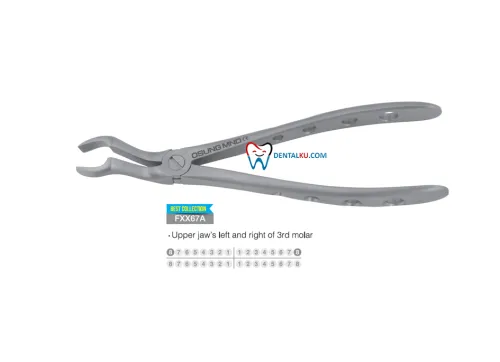 Extraction Forceps Extraction Forceps (Adult) 3 tang_isinya_upper_part_3