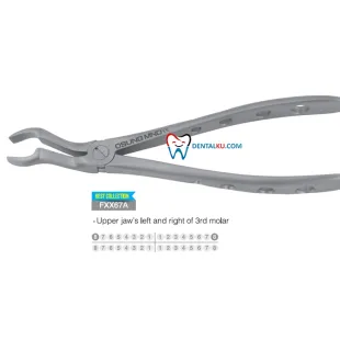 Extraction Forceps Extraction Forceps (Adult) 3 tang_isinya_upper_part_3
