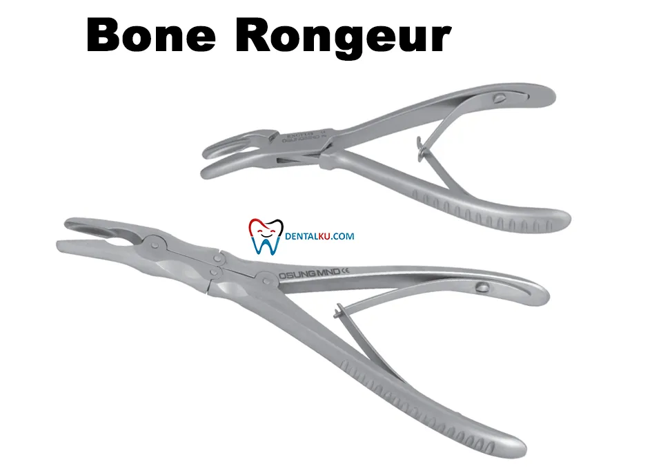 Bone Rongeur Bone Rongeurs Nippers Bone Files Mallets Tissue