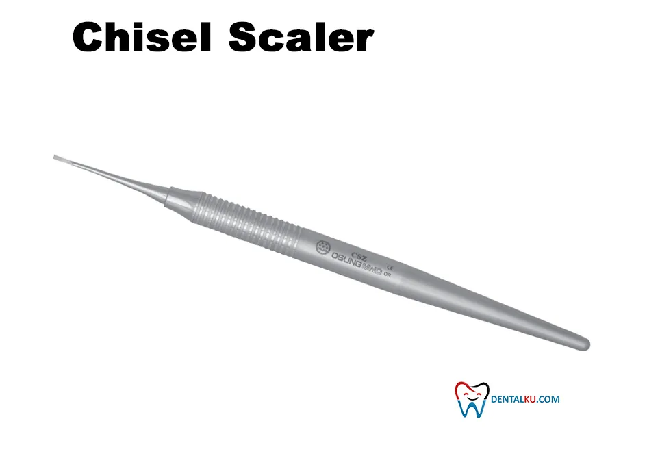 Chisel Scaler Scaler