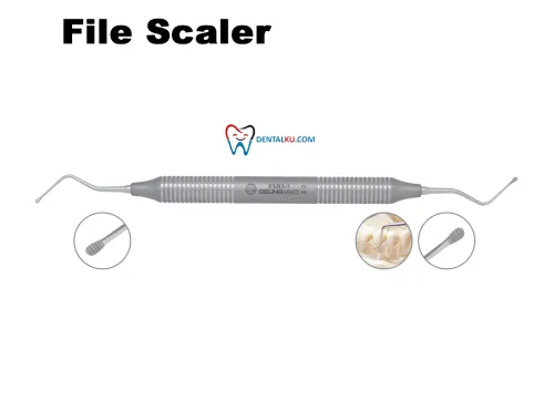 Scaler File Scalers 1 tmb_file_scaler