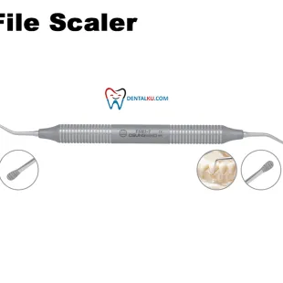 Scaler File Scalers 1 tmb_file_scaler