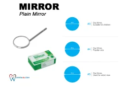 Mirror Plain Mirror