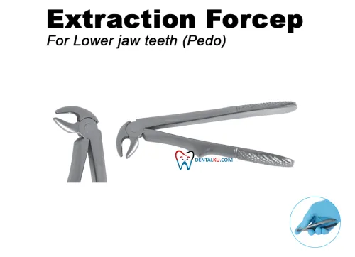 Extraction Forceps Pedo Extraction Forceps 1 tmb_pedo_lower