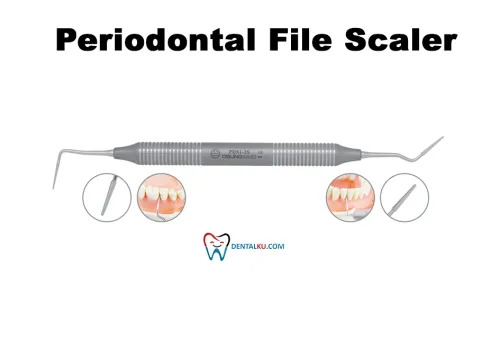 Scaler Periodontal File Scaler 1 tmb_perio_file_scaler