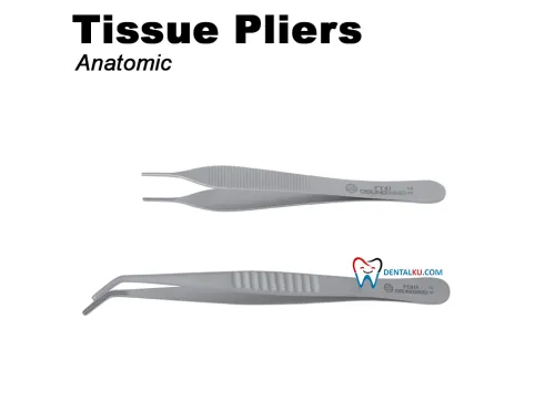 Bone Rongeurs - Nippers - Bone Files - Mallets - Tissue Plier Tissue Plier (Anatomic) 1 tmb_pinset_part_1