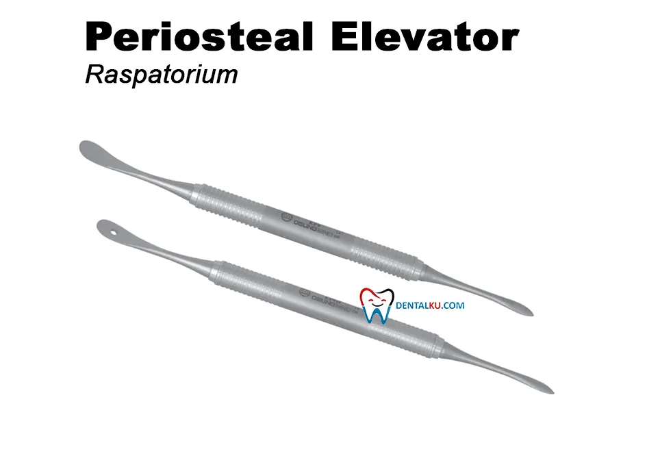 Periosteal Elevator Periotome Periosteal Elevators (Raspatorium