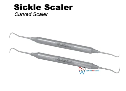 Scaler Sickle Scaler (Curved) 1 tmb_scaler_curved