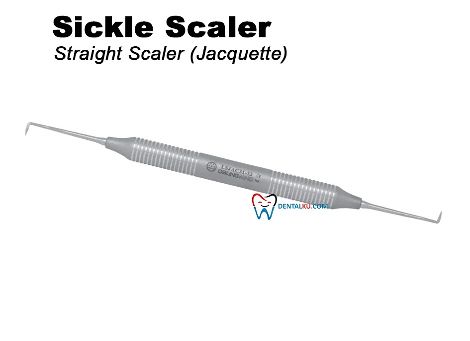 Sickle Scaler (Straight) Scaler