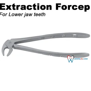 Extraction Forceps Extraction Forceps (Adult) 1 tmb_tang_lower