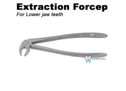 Extraction Forceps Extraction Forceps Adult