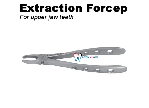 Extraction Forceps Extraction Forceps (Adult) 1 tmb_tang_upper