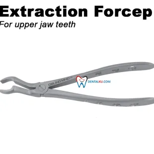 Extraction Forceps Extraction Forceps (Adult) 1 tmb_tang_upper_2