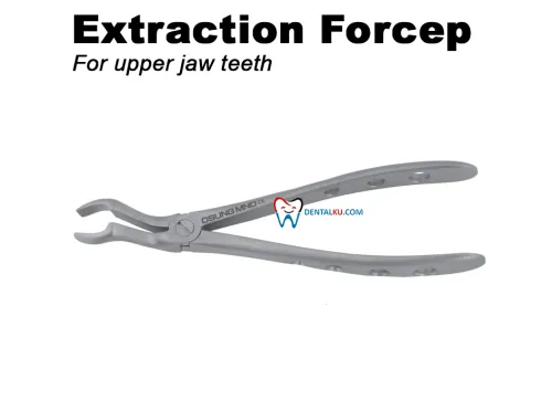 Extraction Forceps Extraction Forceps (Adult) 1 tmb_tang_upper_2