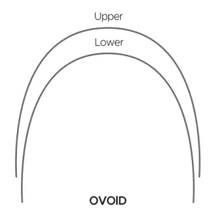 Rectangular Type Super Elastic NITI Archwire - Ovoid Rectangular 1 ~blog/2024/2/1/ovoid
