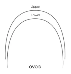 Round Type Super Elastic NITI Archwire - Ovoid Round