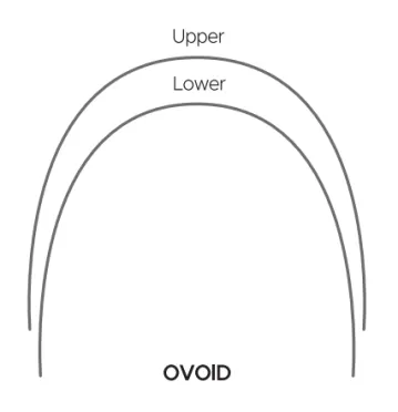 Round Type Super Elastic NITI Archwire - Ovoid Round 1 ~blog/2024/2/1/ovoid