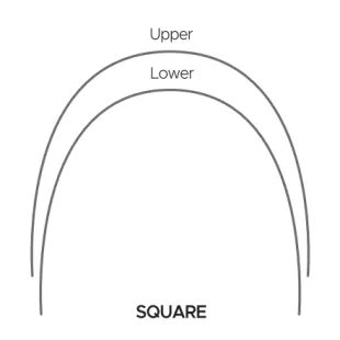 Round Type Super Elastic NITI Archwire - Square Round 1 ~blog/2024/2/1/square