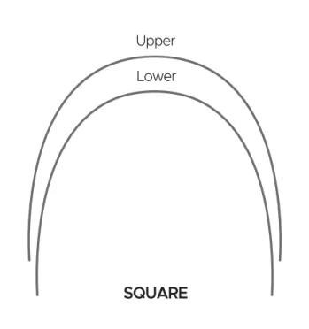Round Type Super Elastic NITI Archwire - Square Round 1 ~blog/2024/2/1/square