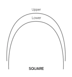 Round Type Super Elastic NITI Archwire - Square Round