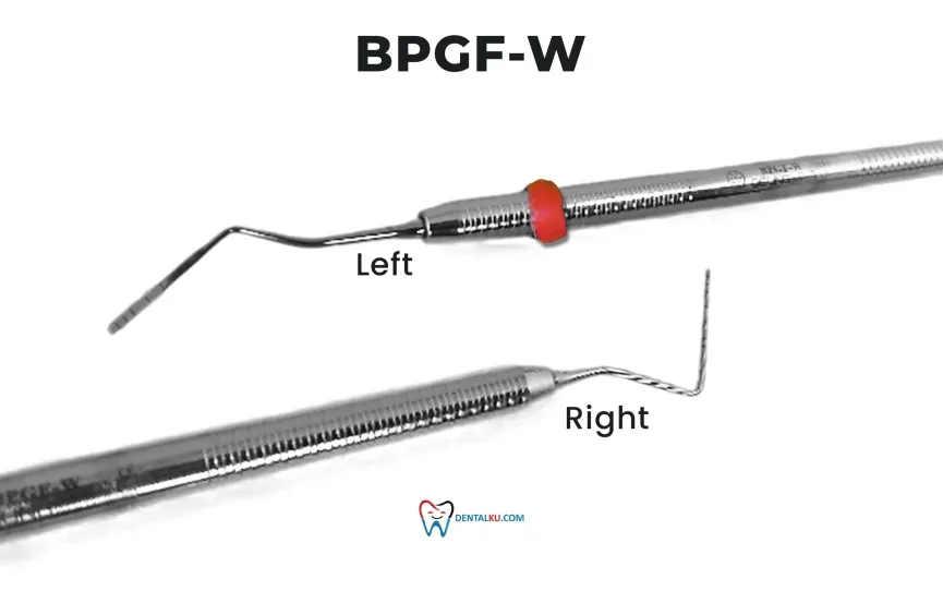 Probe & Tweezer Probes 4 ~blog/2025/3/10/bpgf_w_left_right
