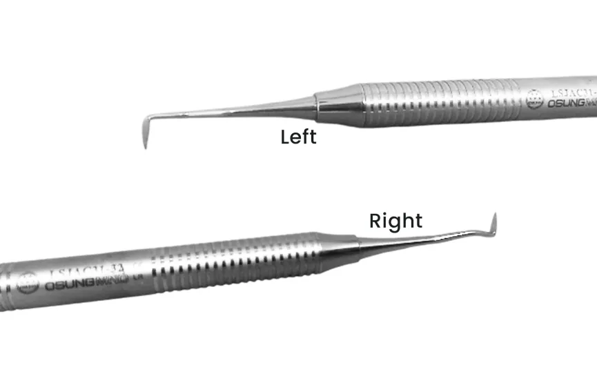 Scaler Sickle Scaler (Straight) 5 ~blog/2025/3/11/lsjac31_32_rightleft