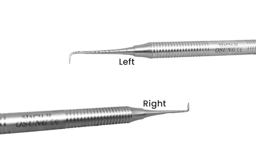 Scaler Sickle Scaler (Straight) 7 ~blog/2025/3/11/lsjac34_35_rightleft
