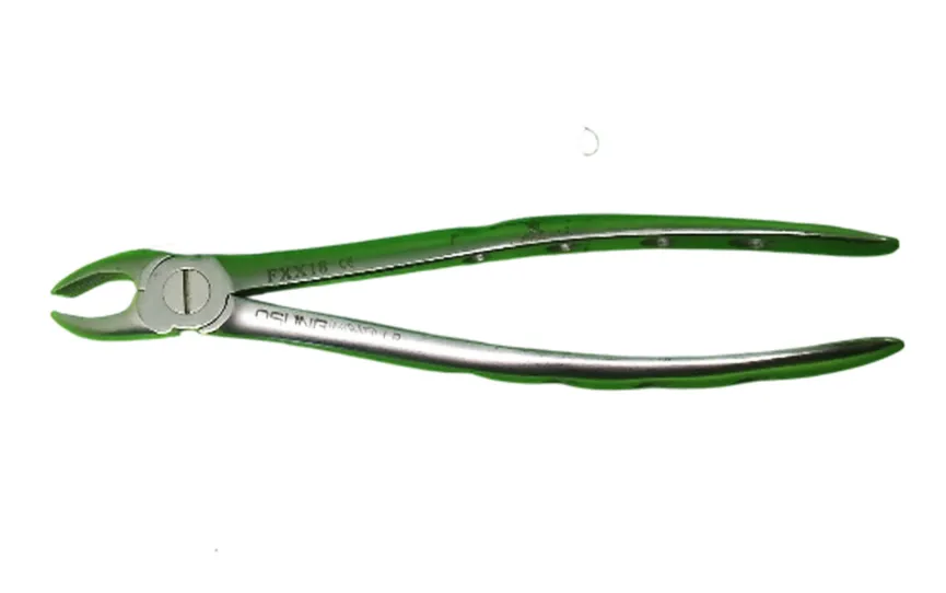 Extraction Forceps Extraction Forceps (Adult) 5 ~blog/2025/3/19/fxx18