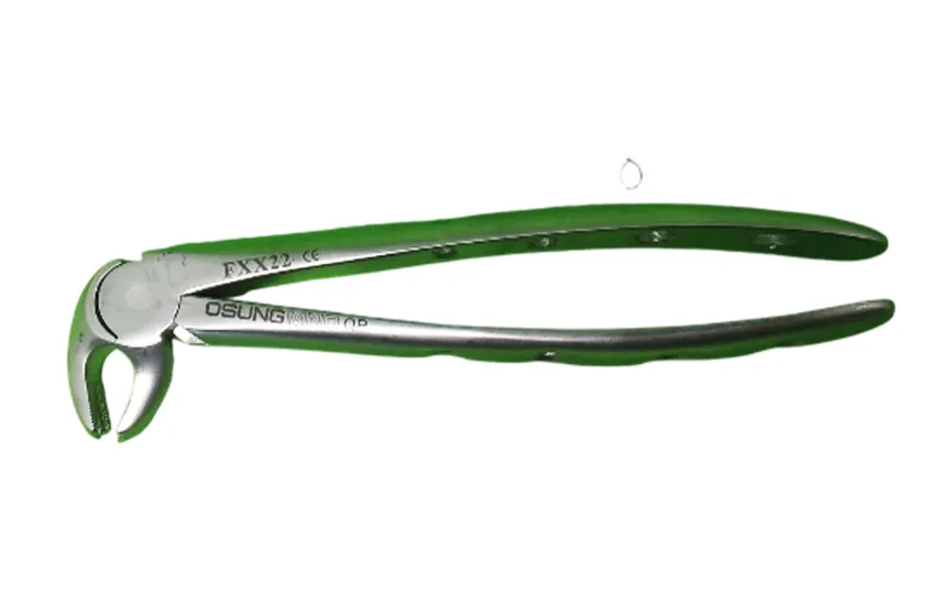 Flesh and Blood Surgical Extraction プレマ $_57.JPG?set_id=8800005007