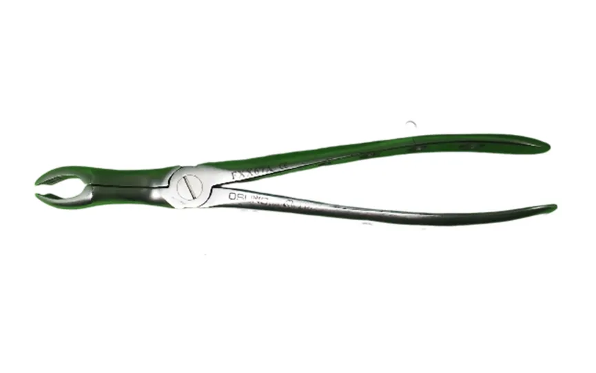 Extraction Forceps Extraction Forceps (Adult) 6 ~blog/2025/3/19/fxx67a